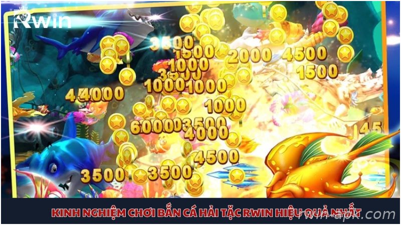 Kinh nghiệm bắn cá Hải Tặc Rwin